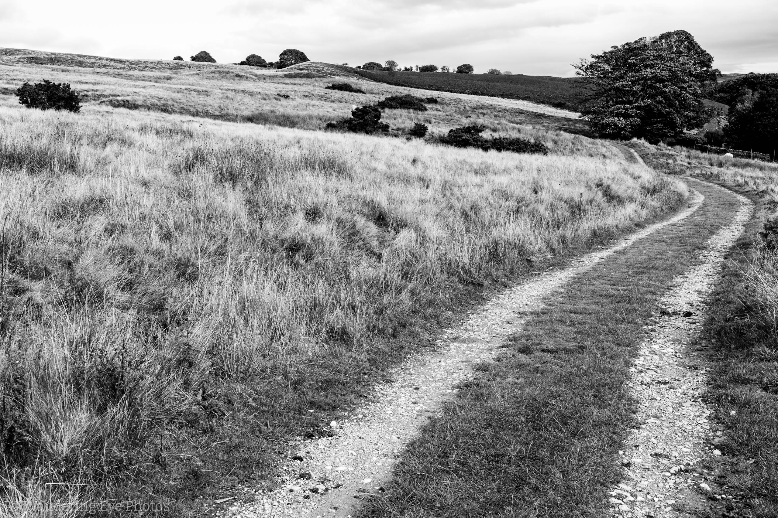 10.13 15.11.35   DSC08070